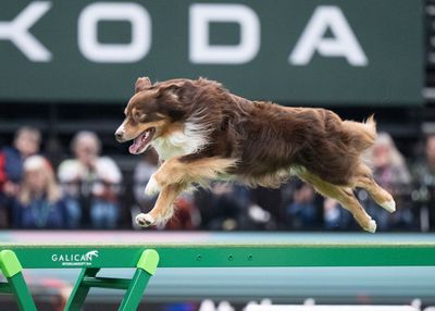 On his way to a perfect running contact