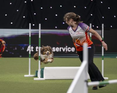 Our best moment! Reconnecting with him as I finish my blind cross while San jumps the long jump.