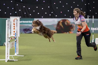 Flying together!