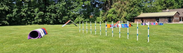 Agility training field