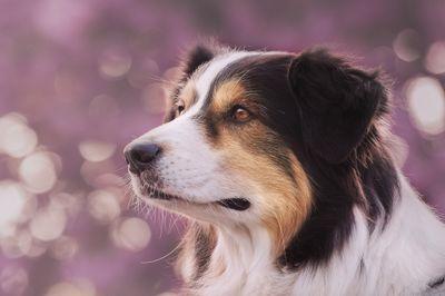 Kai © Karin Hermans Kai