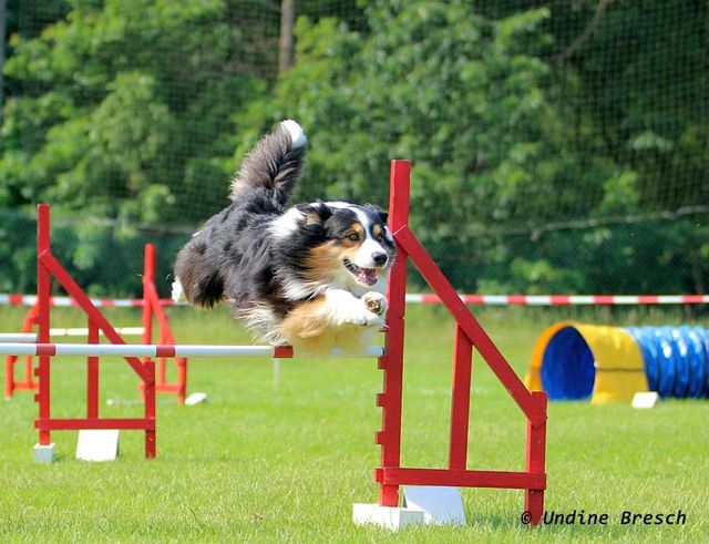 Kai © Undine Bresch Kai