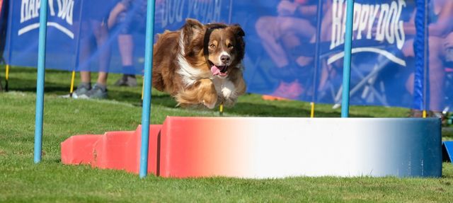 Whether you think you can, or you think you can't – you're right