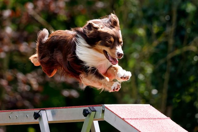 San © Cees van Hoogdalem San