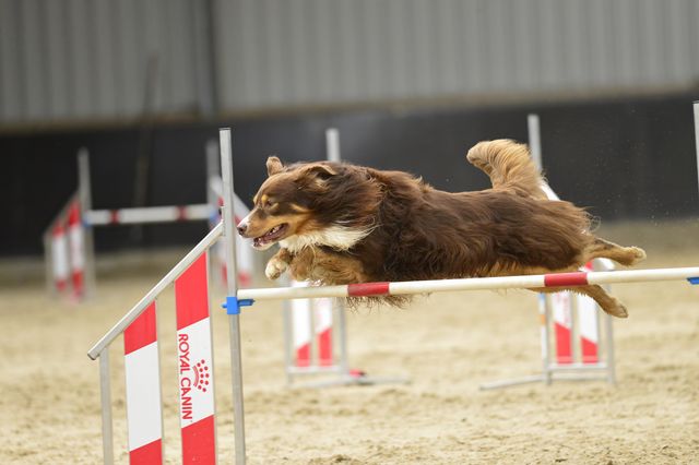 Sometimes you win, sometimes you learn