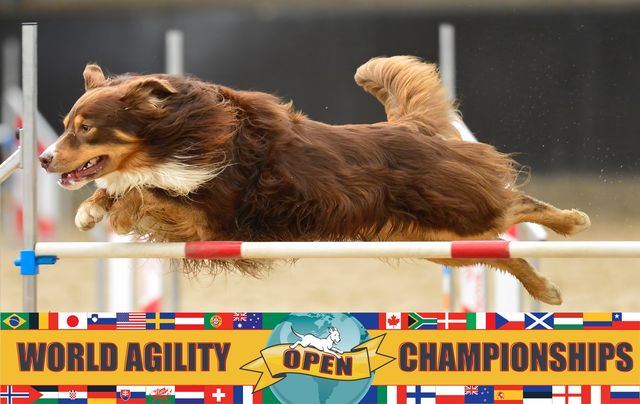 WAO 2024 🇳🇱 Here we come!